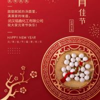 武漢福鑫化工有限公司全體員工一起過元宵!!!